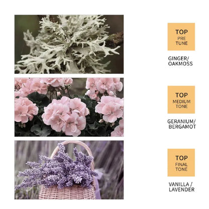 SADOER Ginger Hair Care 4-Piece Set: Deep Nourishment for Elastic, Shiny Hair