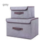 2-Pack Foldable Fabric Storage Bins, Portable Clothing Organizer Boxes for Dorm & Home