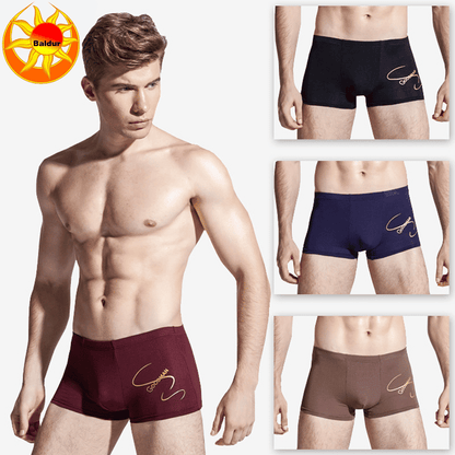 Baldur Men's 4-Pack Breathable Polyester Boxer Briefs - Soft, Stretch, Comfort