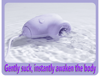 Premium USB Rechargeable Vibrating Egg Massager Set with Suction for Women