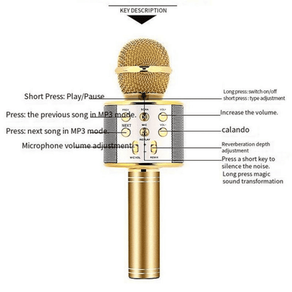 Portable Wireless Bluetooth Karaoke Microphone Speaker for Kids & Family Fun