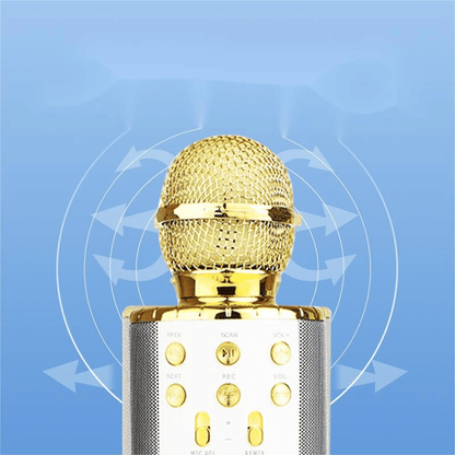 Portable Wireless Bluetooth Karaoke Microphone Speaker for Kids & Family Fun