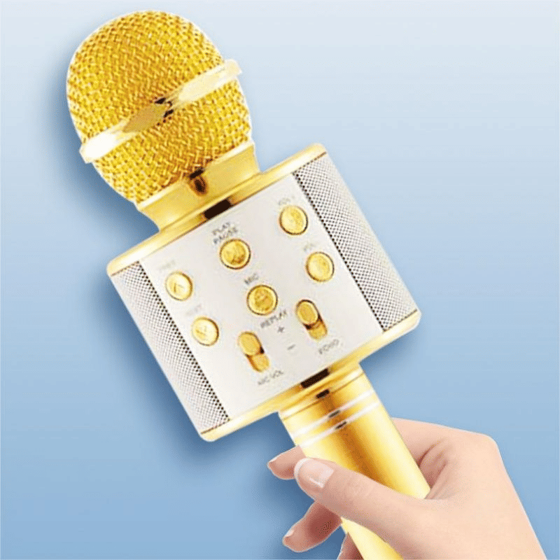 Portable Wireless Bluetooth Karaoke Microphone Speaker for Kids & Family Fun