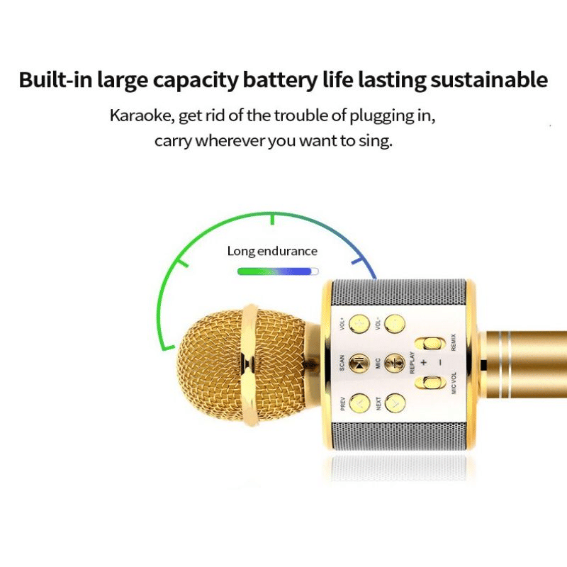 Portable Wireless Bluetooth Karaoke Microphone Speaker for Kids & Family Fun