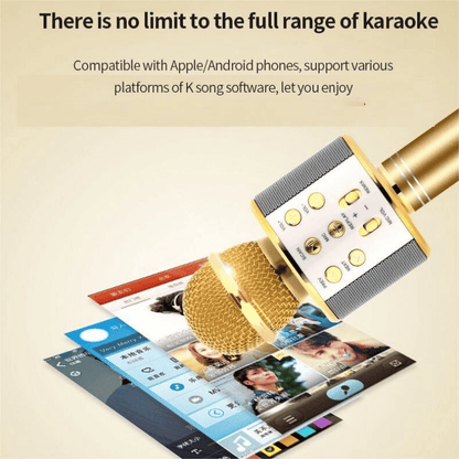 Portable Wireless Bluetooth Karaoke Microphone Speaker for Kids & Family Fun