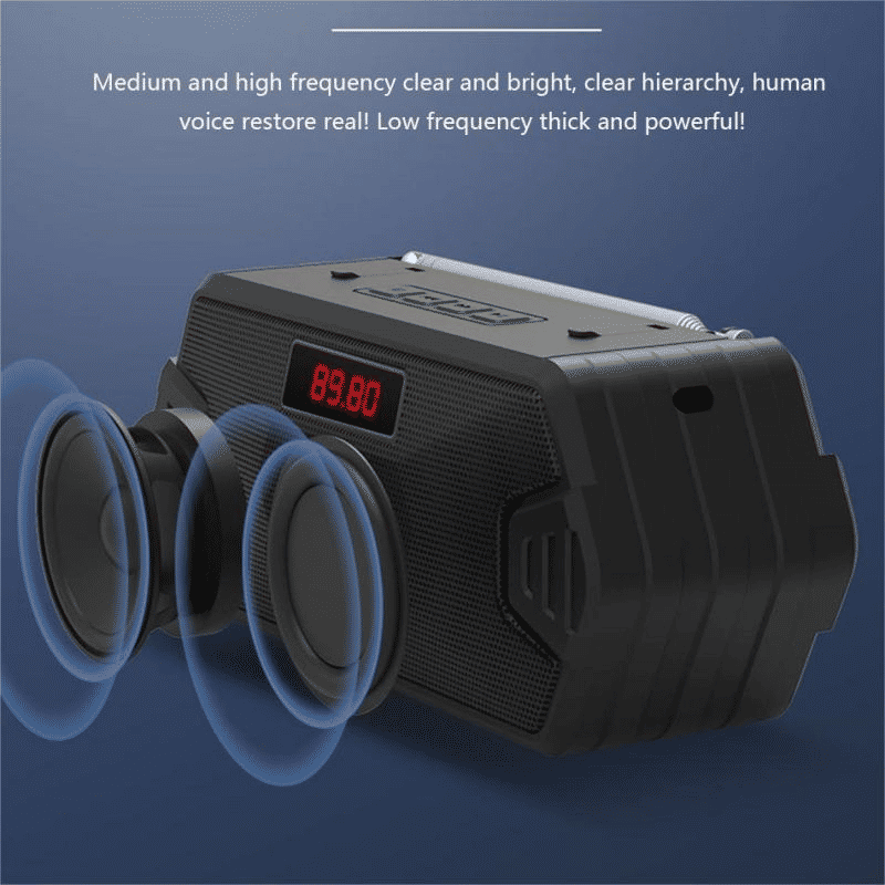 Versatile Portable Bluetooth Speaker: FM Radio, USB, AUX, TF, MP3