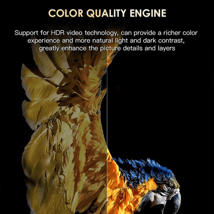 H20PRO Smart Android 10.0 TV Box, Dual WiFi, 4K HD Streaming