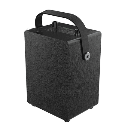 30W Portable Bluetooth Speaker with Wireless Mic, Deep Bass, TWS Stereo, Karaoke