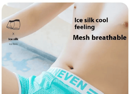 3-Pack Men's Mesh Breathable Boxer Briefs - Soft, Quick-Dry, Comfortable Polyester Fabric